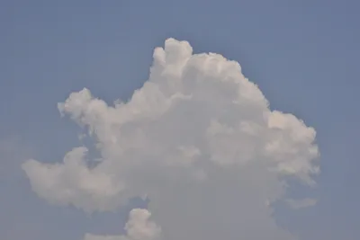 DSC_6892 (Large).JPG